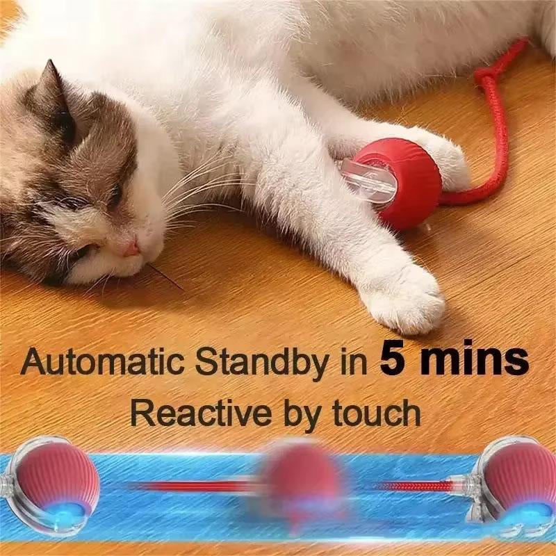 Interactive Rolling Cat Ball, Dog Toys Rolling Ball for Indoor, 360° Smart Automatic Rolling Pet Ball, Self Rolling Ball