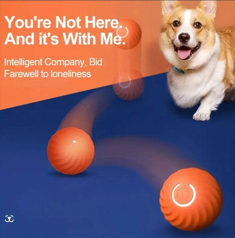 Intelligent Jumping Ball, Electric Charging Cat and Dog Toy, Self-Rollingpet Dog Toy Ball, Electric Intelligent Pet Ball