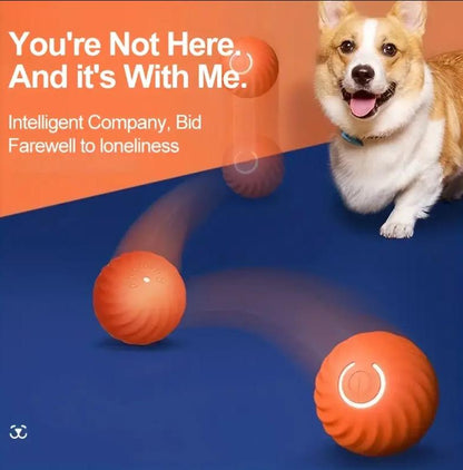 Intelligent Jumping Ball, Electric Charging Cat and Dog Toy, Self-Rollingpet Dog Toy Ball, Electric Intelligent Pet Ball