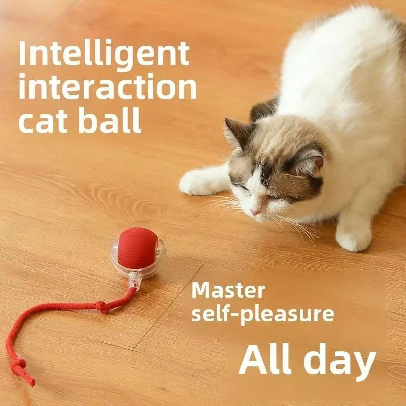 Interactive Rolling Cat Ball, Dog Toys Rolling Ball for Indoor, 360° Smart Automatic Rolling Pet Ball, Self Rolling Ball