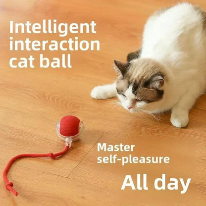 Interactive Rolling Cat Ball, Dog Toys Rolling Ball for Indoor, 360° Smart Automatic Rolling Pet Ball, Self Rolling Ball