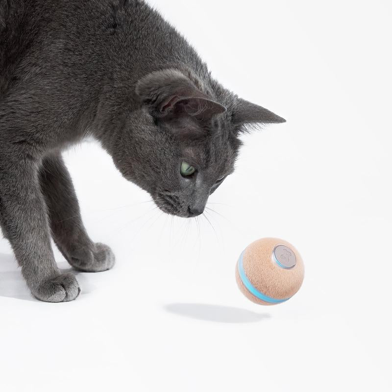 Cheerble Wicked Ball M3 Interactive Cat Ball Toy with Light - Automatic Moving Ball Toy for Indoor Cat Kitten